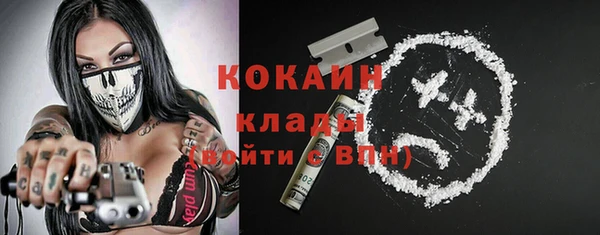 мет Богданович