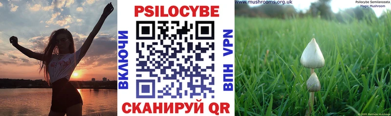 наркота  Новотроицк  Псилоцибиновые грибы MAGIC MUSHROOMS 