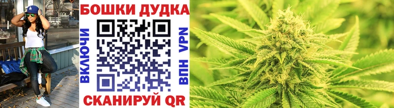 купить наркоту  Новотроицк  hydra ссылки  Каннабис планчик 